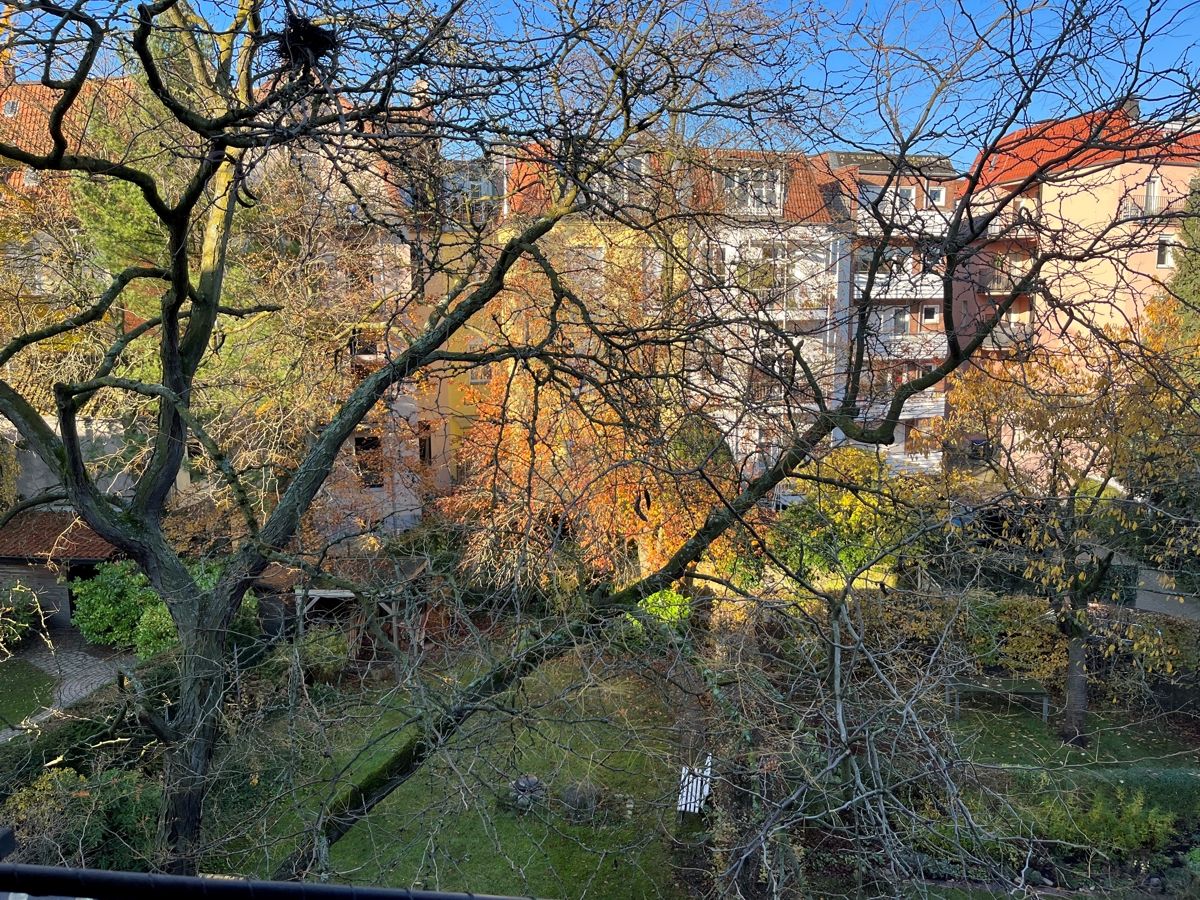 Der Blick