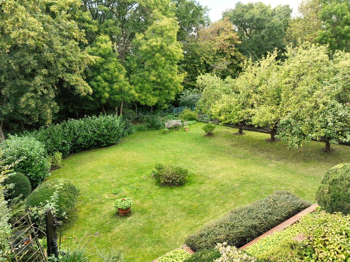 Blick in den Garten