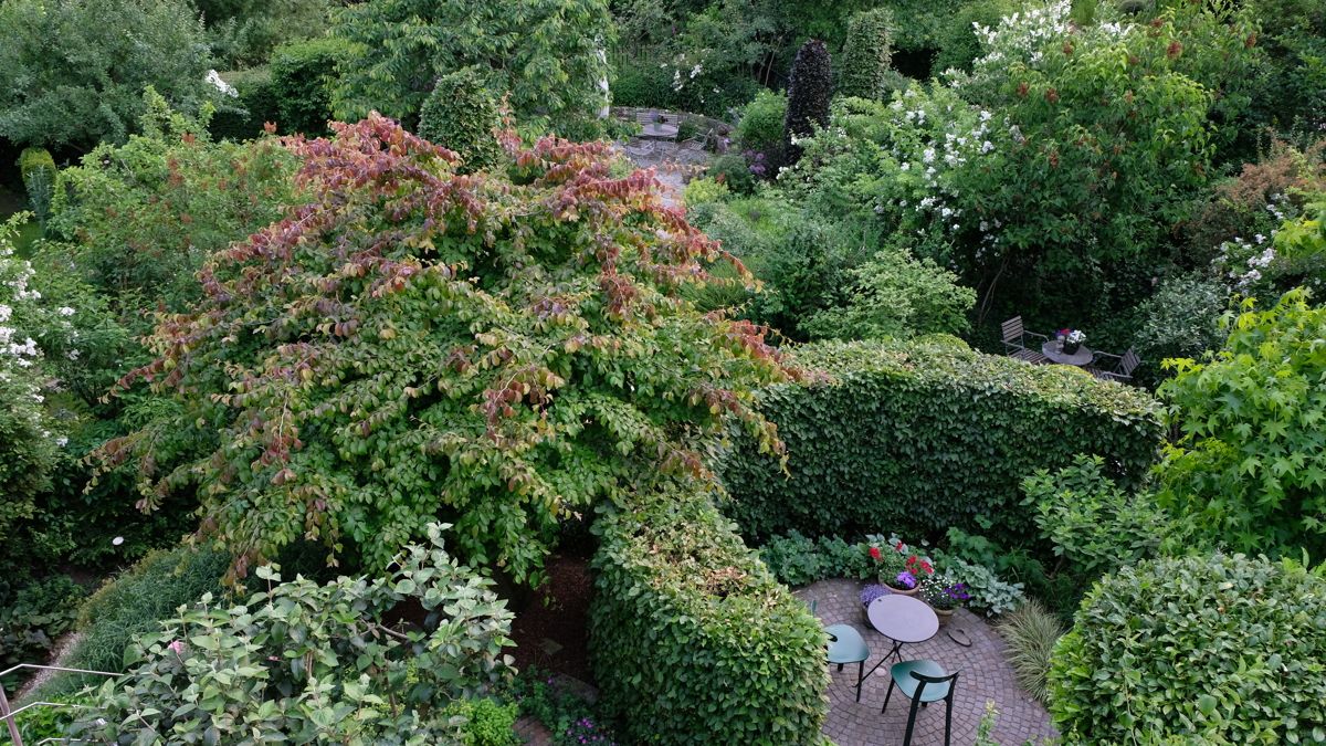 Blick auf Wohnhaus-Garten und Baugrundstück