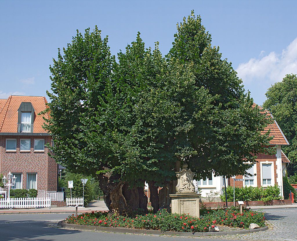 Telgte