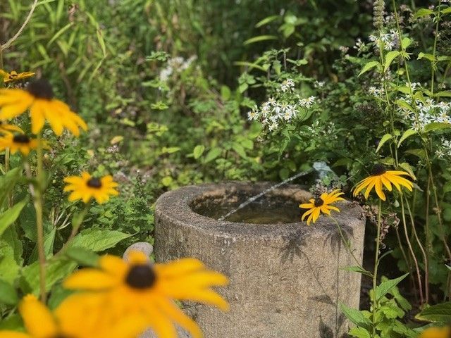 Wasserspiel im naturnahen Umfeld