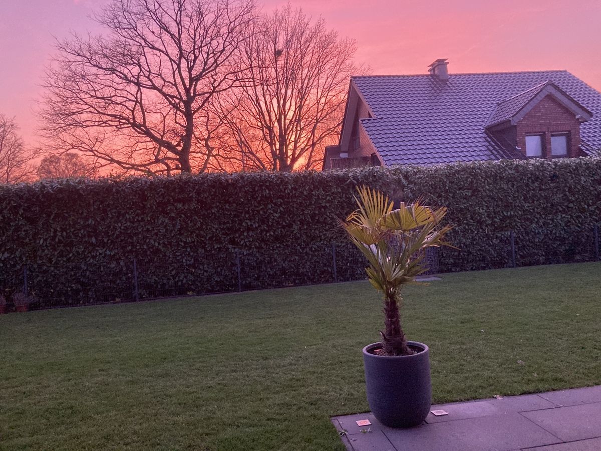 Garten Sonnenuntergang