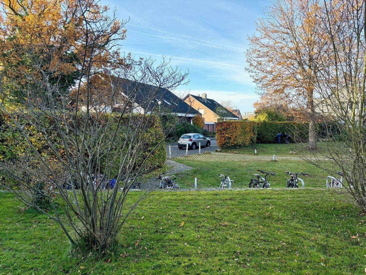 Fahrradstellplätze auch außen und das gepflegte Wohnumfeld