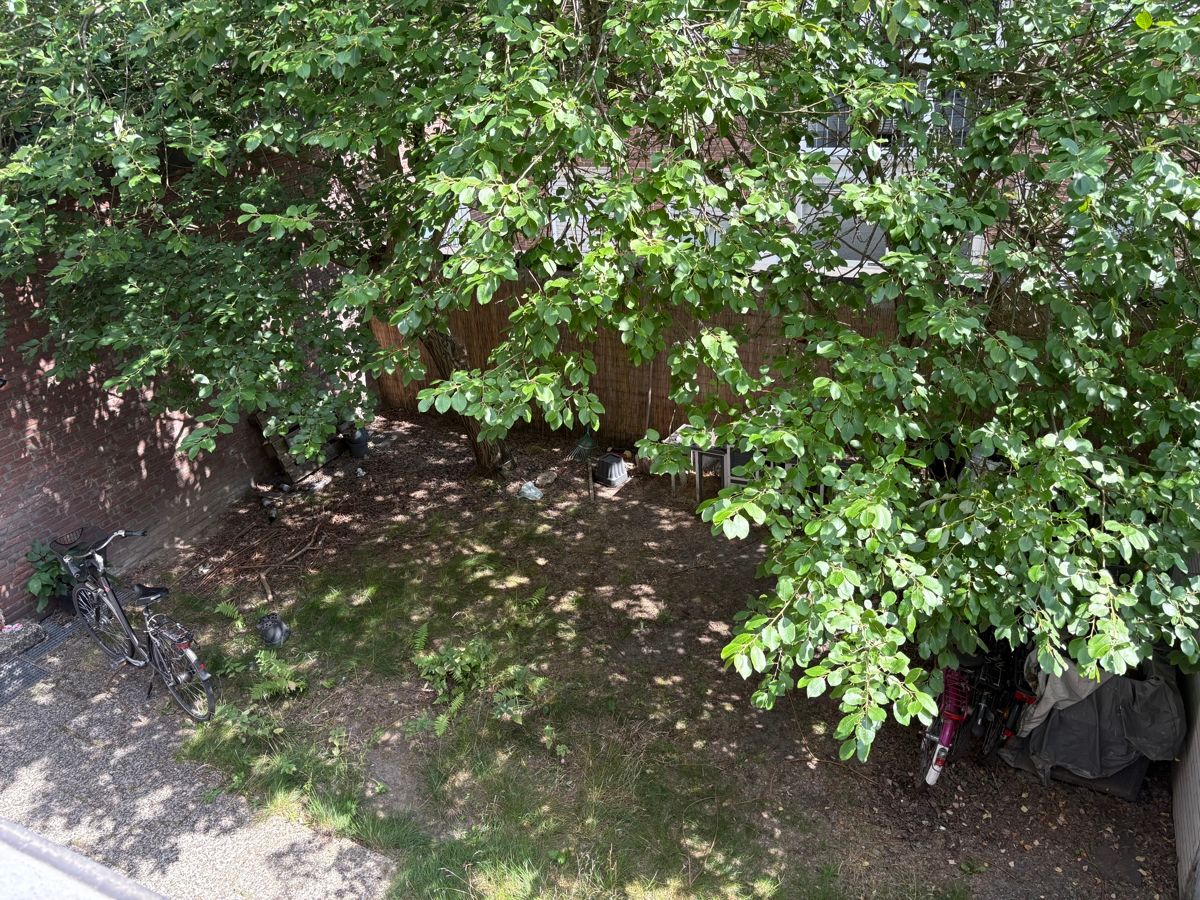 Der Garten
