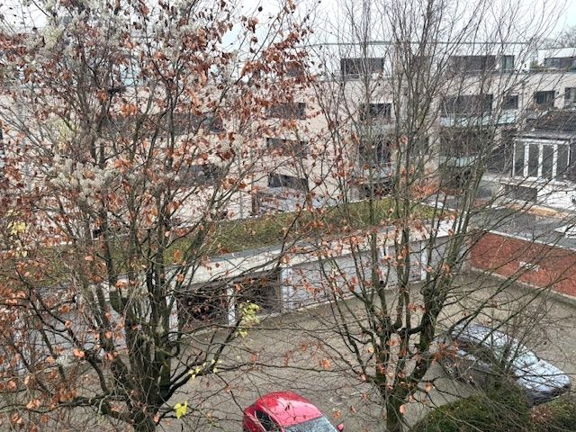 mit Blick ins Grüne und zu den Duplex-Parkern