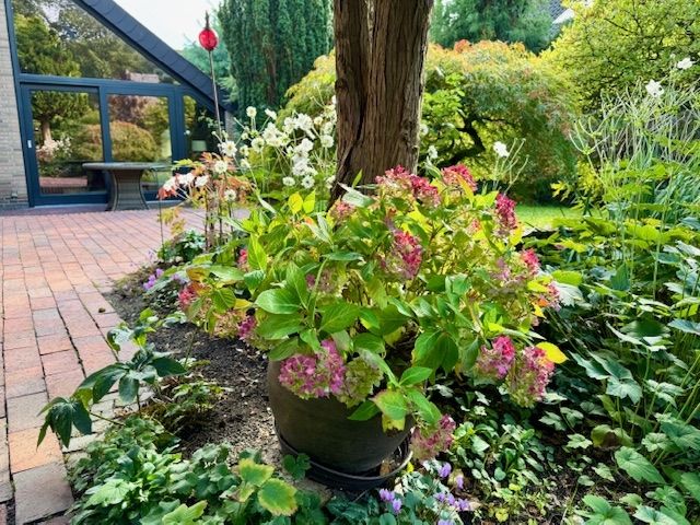 Die gepflegten Anlagen