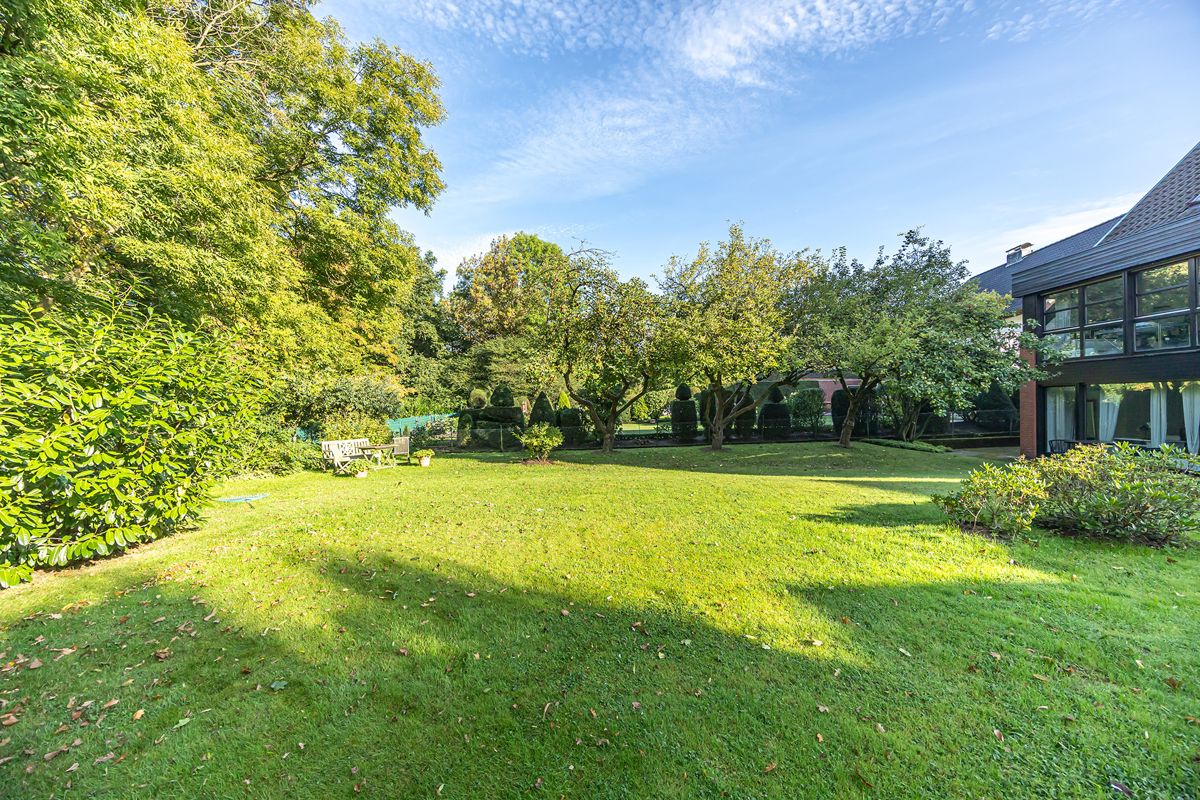 Blick in den Garten