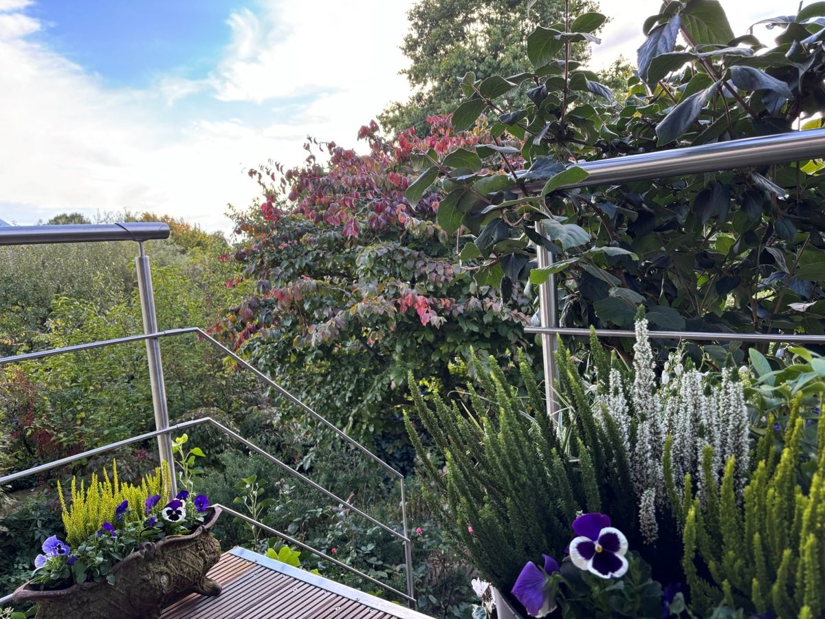 Der wunderbare Blick vom West-Balkon in die Weite