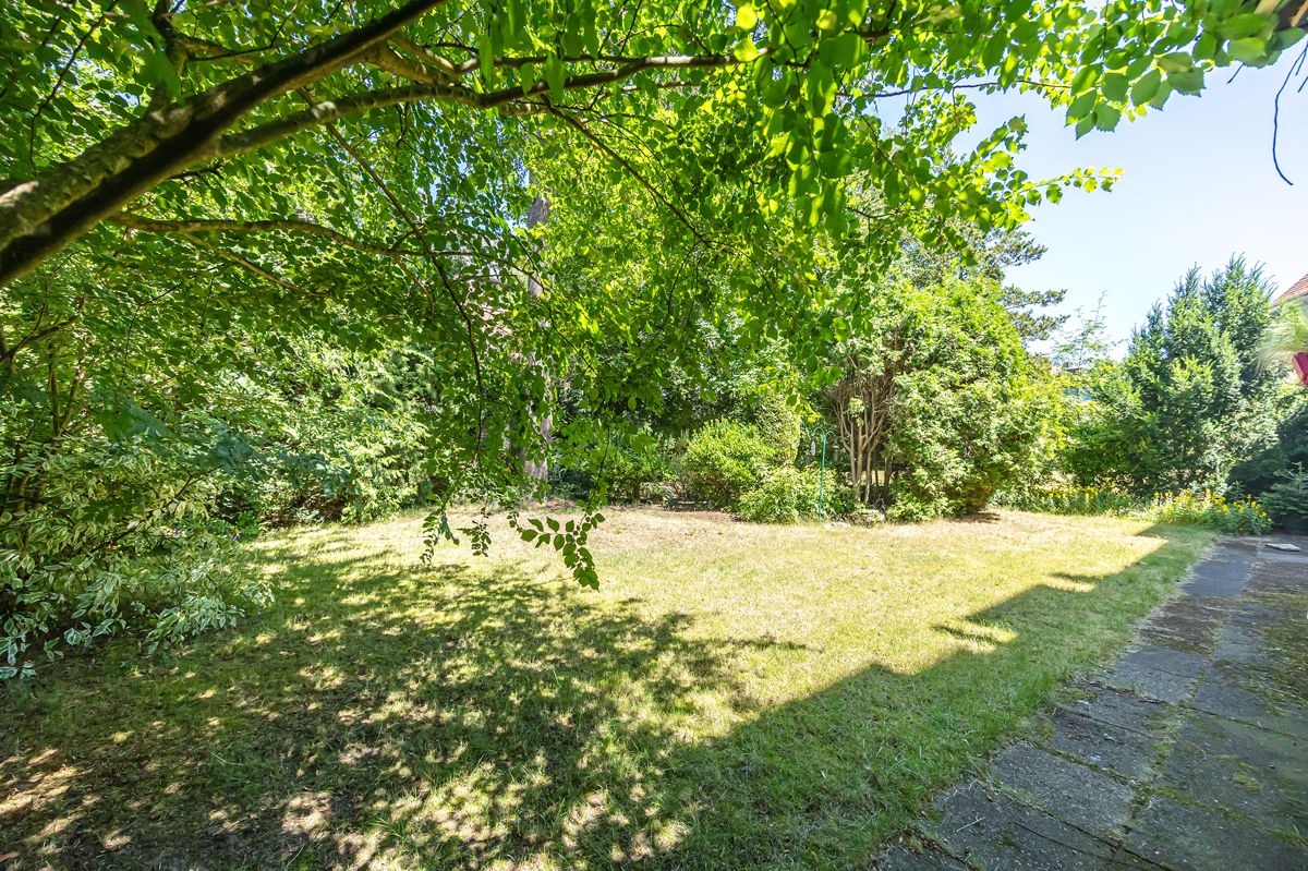 Der Blick in den Garten