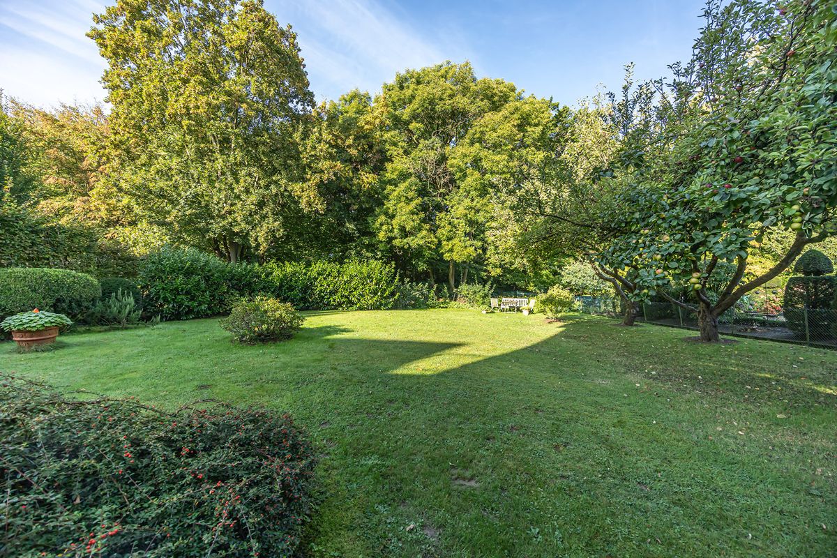 Blick in den Garten