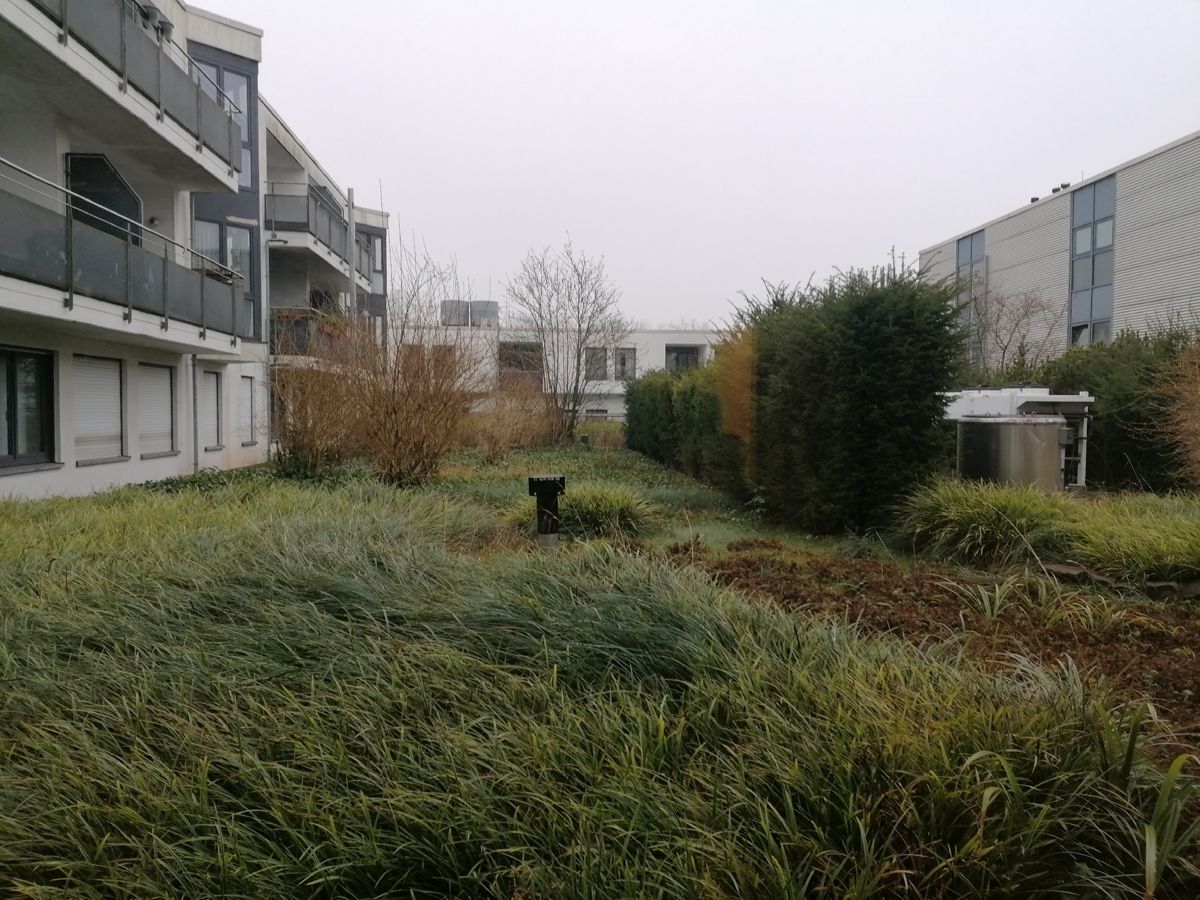 Ausblick Büro