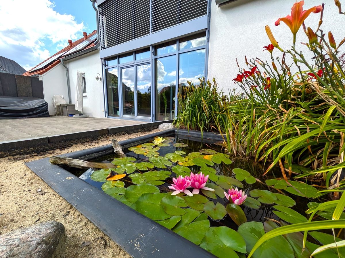 Seerosen und Taglilien empfangen Sie am Zugang zum Garten