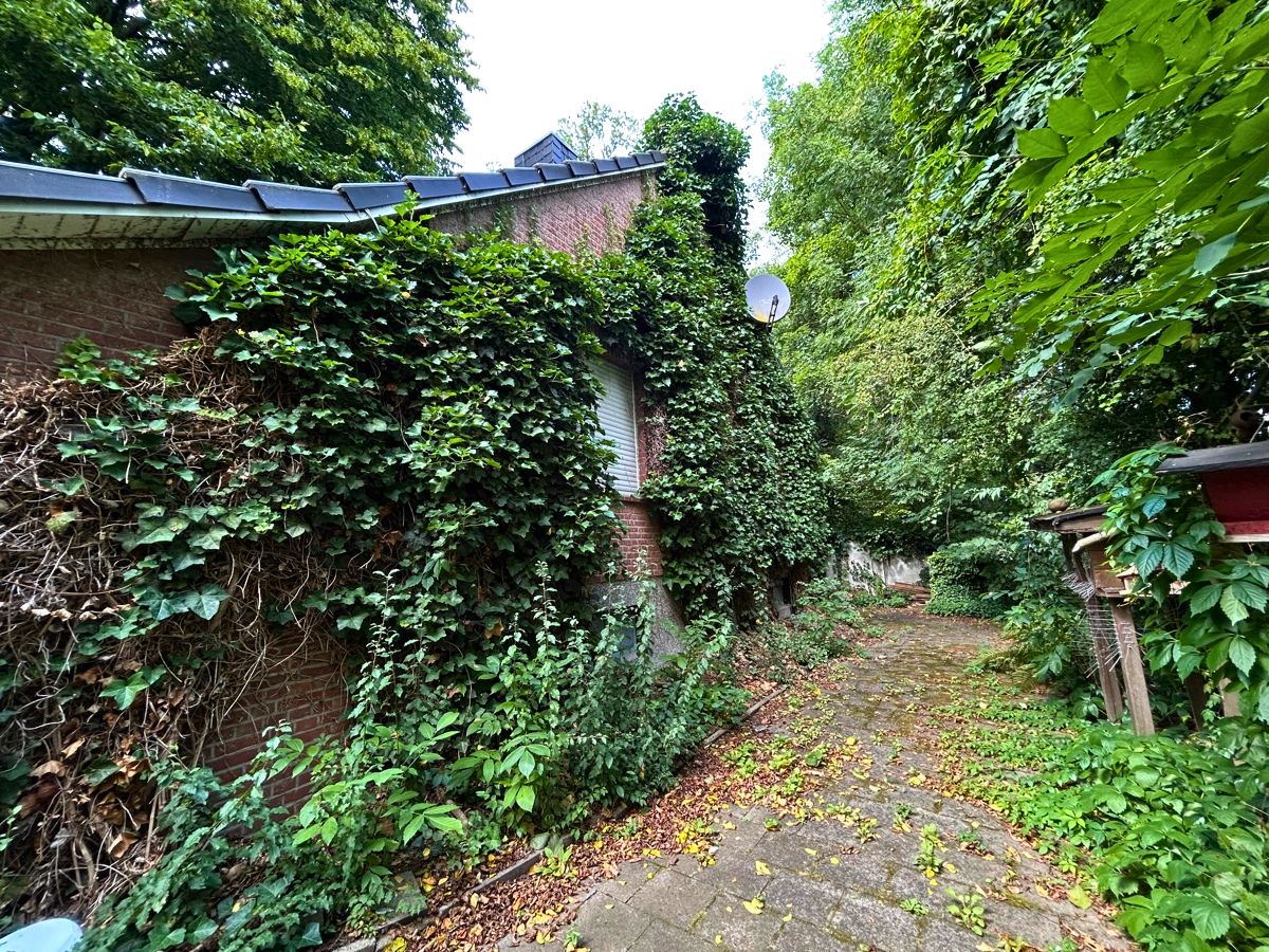 Seitenansicht hinten